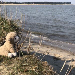 Kommandørsgården Camping & Feriepark Rømø