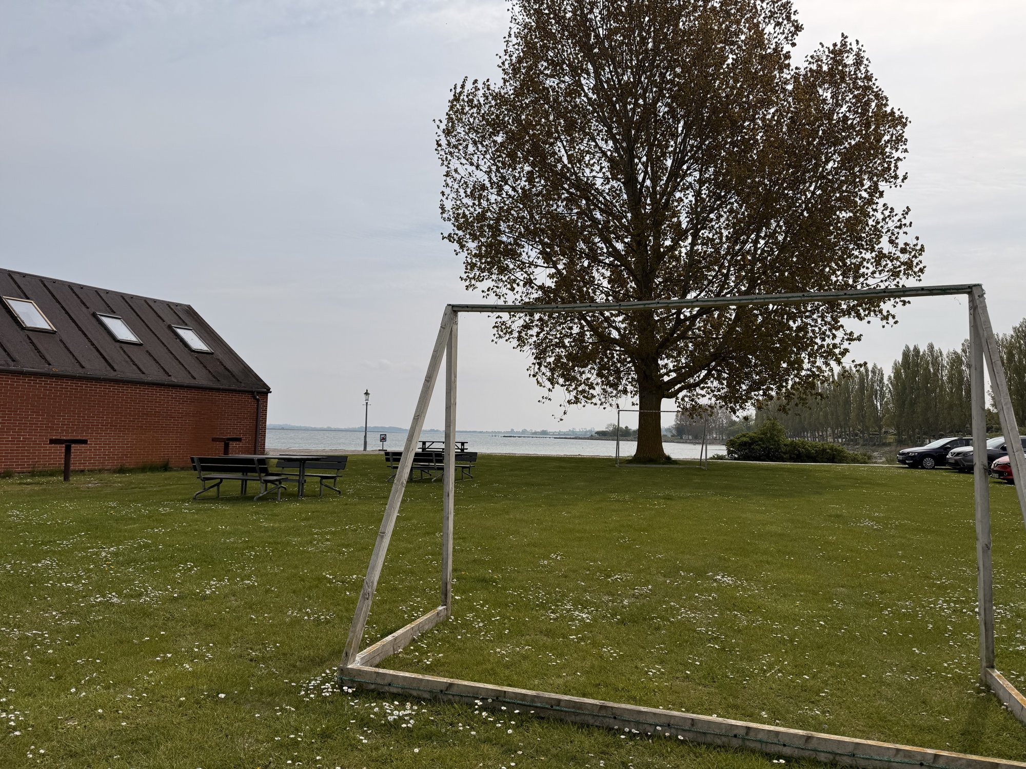 Stellplatzwiese an der Marina von Ærøskøbing mit Blick aufs Wasser