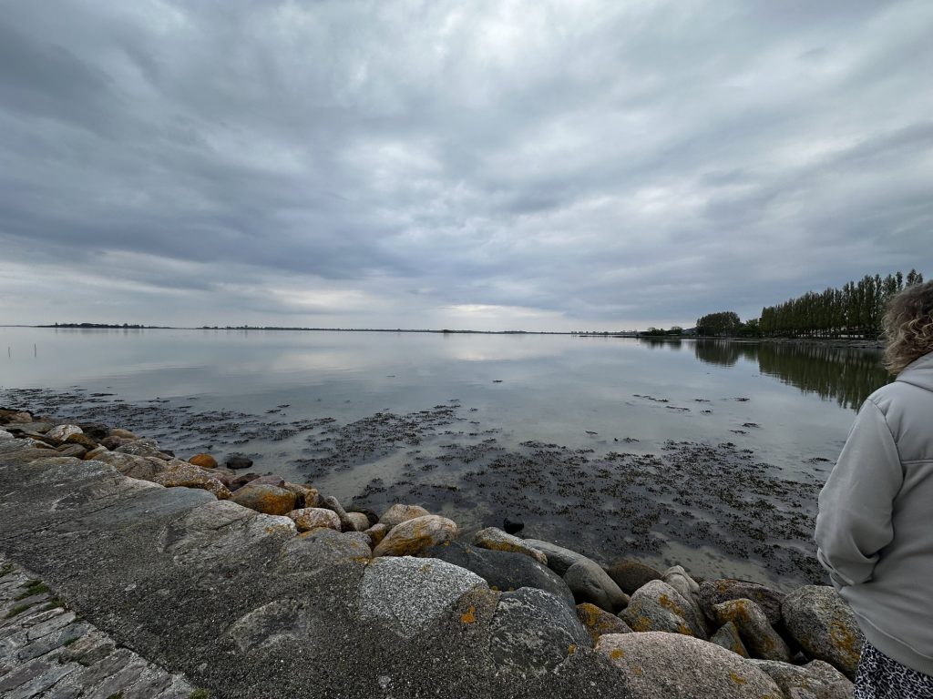 Spiegelglatte Ostsee zwischen Findlingen am ersten Abend