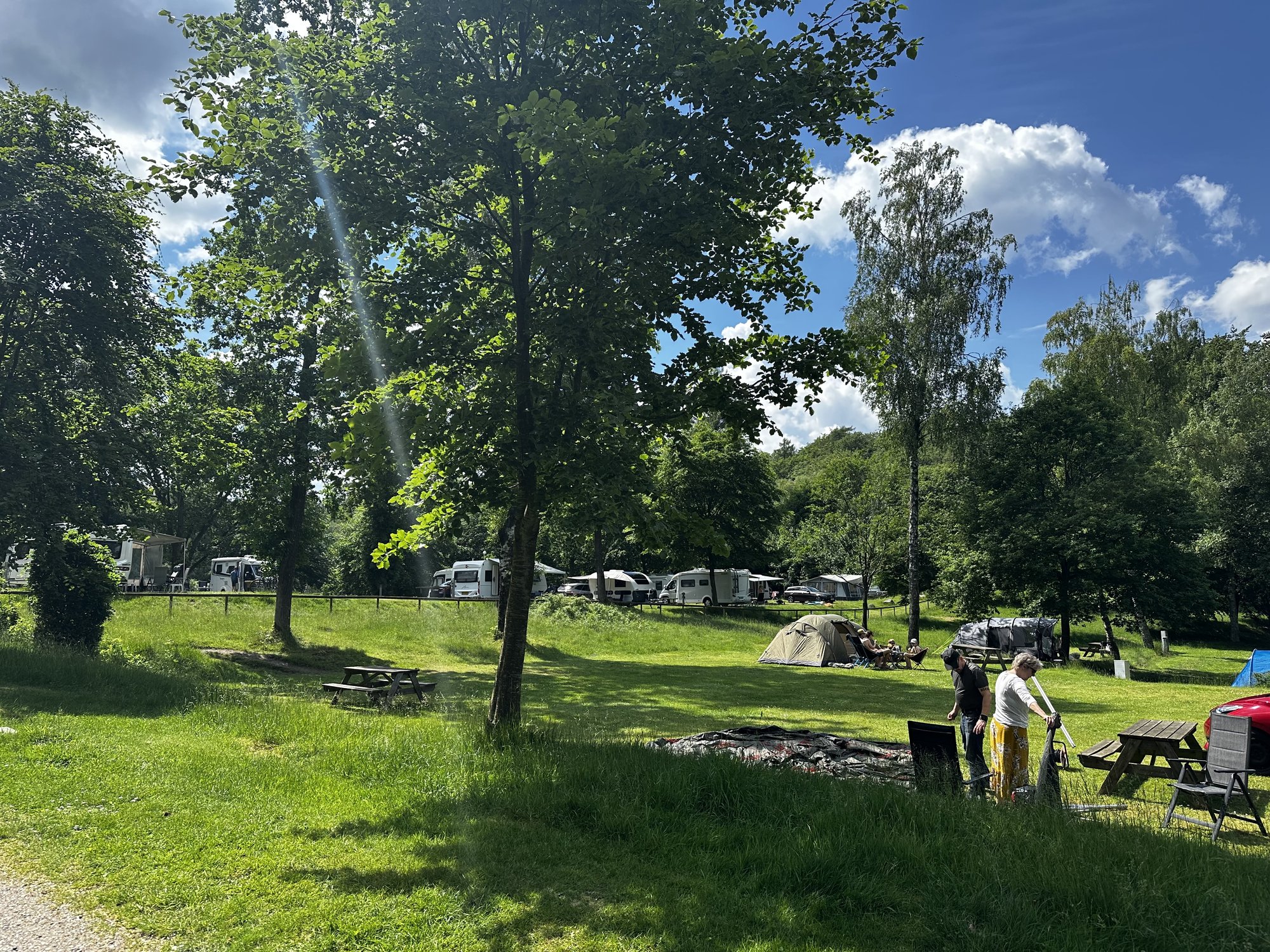 Sonnige Campingwiese mit Wohnmobilen und Zelten am Waldrand