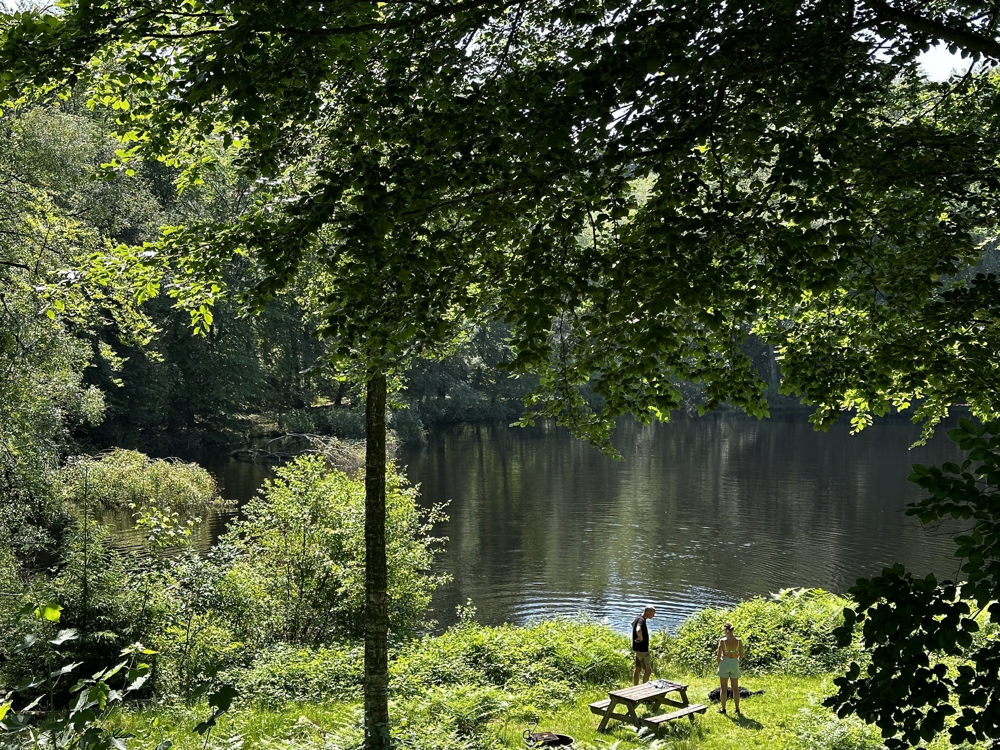 Buchen und Himmel spiegeln sich im stillen Wasser